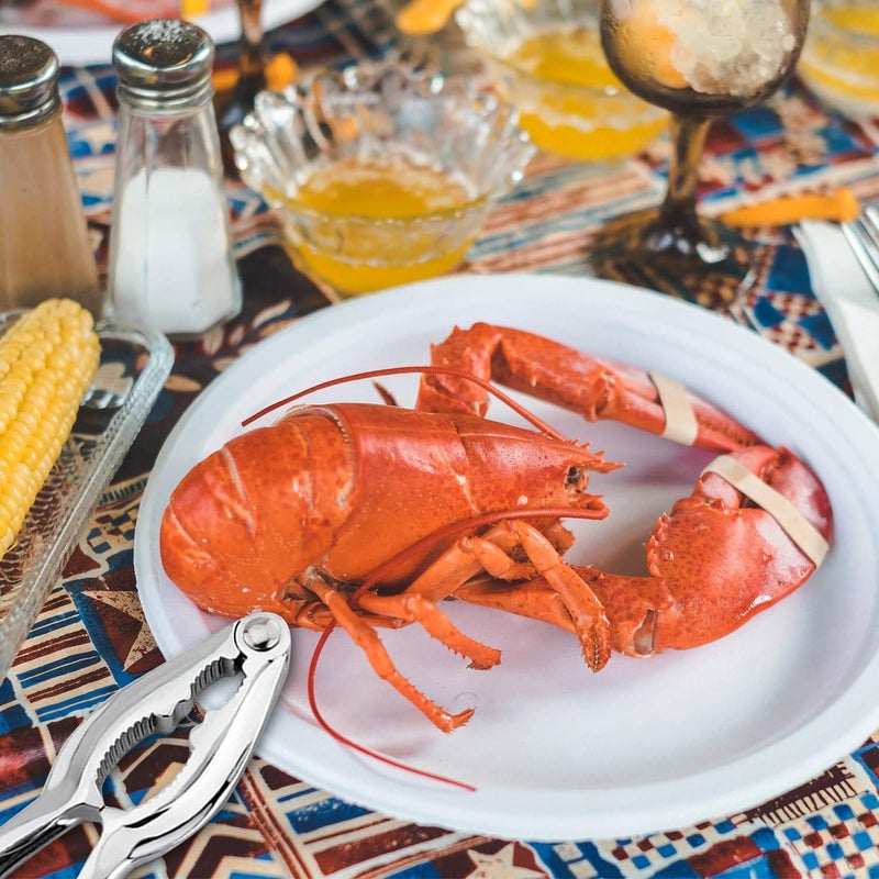 ZAUGONTW Crab Crackers and Tools, Lobster Crackers, Seafood Crab Leg Cracker Tools, Nut Cracker Set, 8 Pack - Image 4